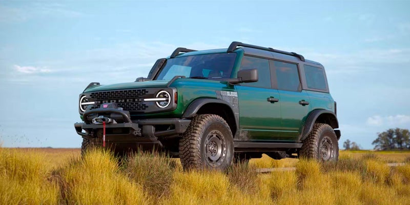 A picture of a green 2024 Ford Bronco sitting majestically on a field of gold grass. 