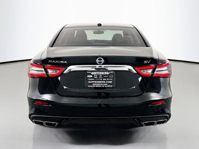 2019 Nissan Maxima 3.5 SV